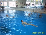 swimsports4
